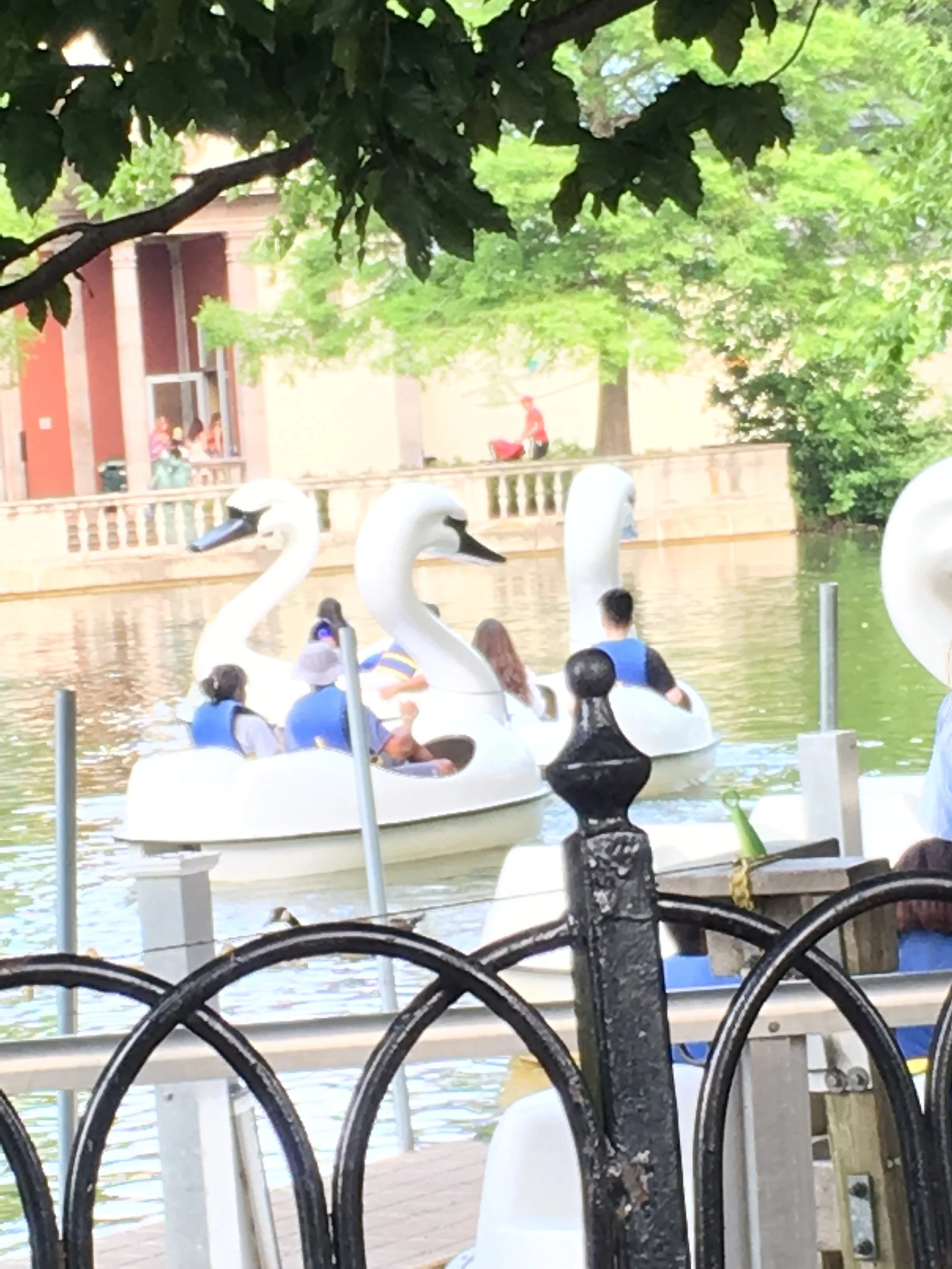 Yep, that boat with the girl and guy in a bucket hat would be part of my crew. They ran up on shore a few minutes after taking this pic (we still have no idea how that happened) . These goofballs make zoo memberships fun and worthwhile, but I'll save the shenanigans for another post.