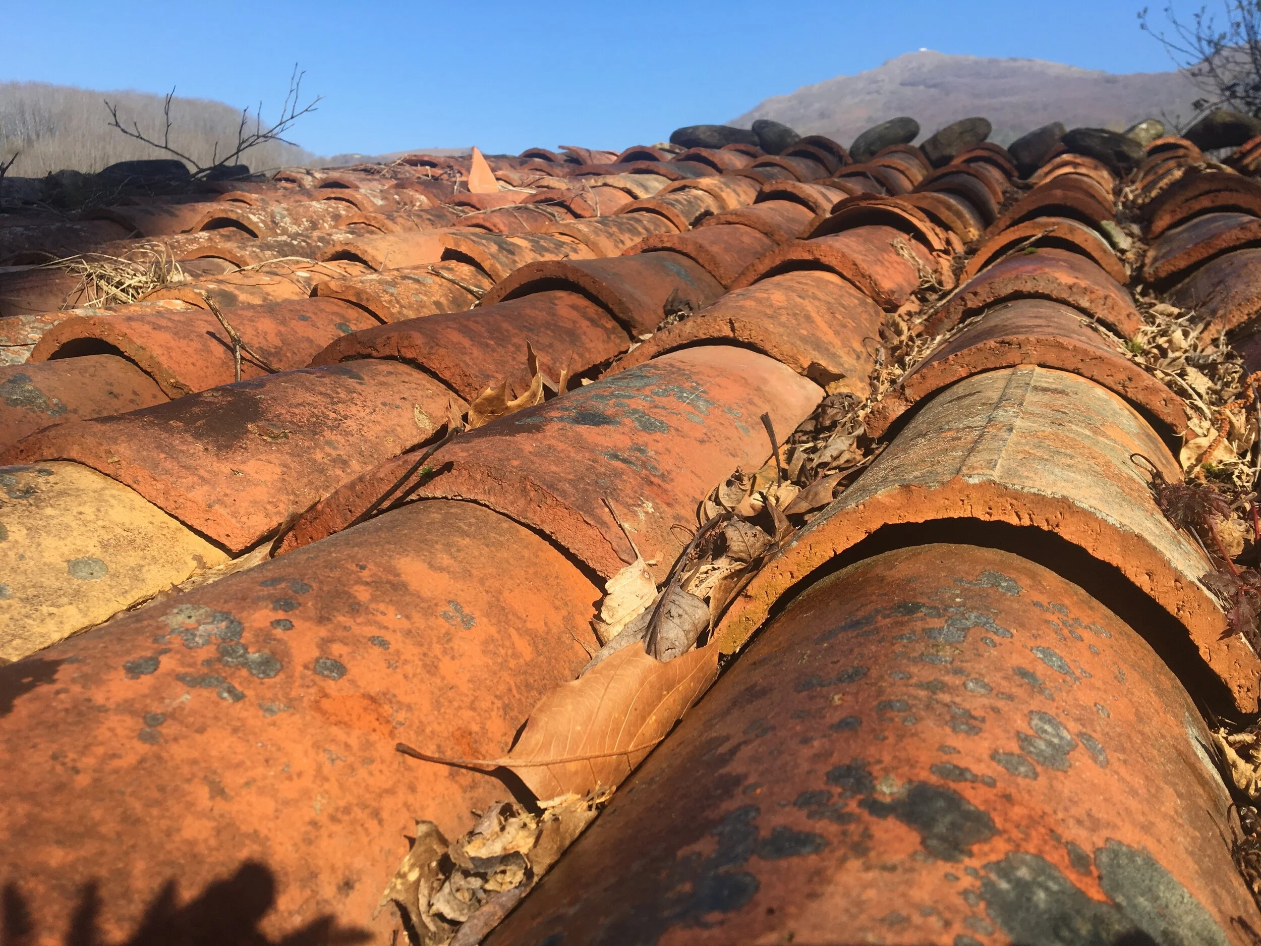 Red Roof tiles.jpeg
