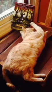 (Assist is a pretty strong word, but Nellie No demands credit, treats, and belly rubs for her contribution.)