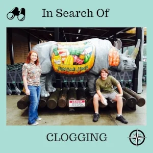 looking-for-clogging.jpg