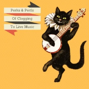 clogging-cat.jpg