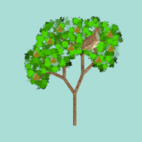 12-days-partridge-clogging.png