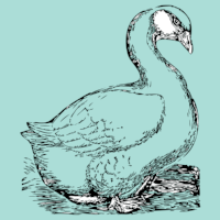 12-days-geese-clogging.png