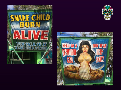 fair-circus-show-florida.png