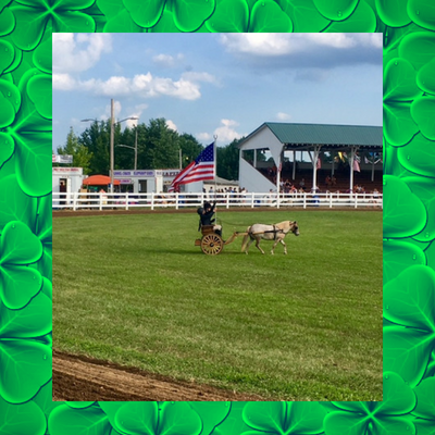 4-H-pony-flag-county-fair.png
