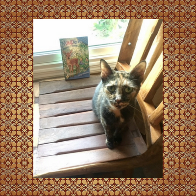 jealous-cat-Charlotte-Sandiego-book-review.png