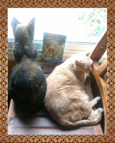 bookish-cats-ignore.png