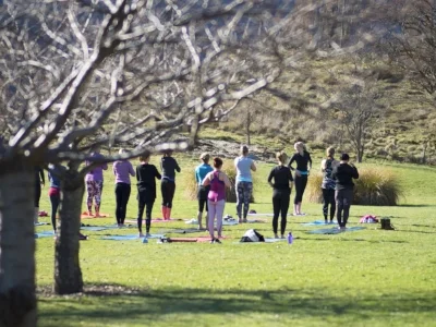 Retreat guests standing doing yoga