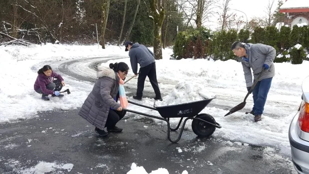 Rob Thibault TBO's Snow & Ice Management CBC News Interview