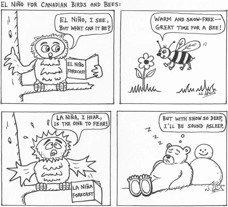 Bienvenido a La nina