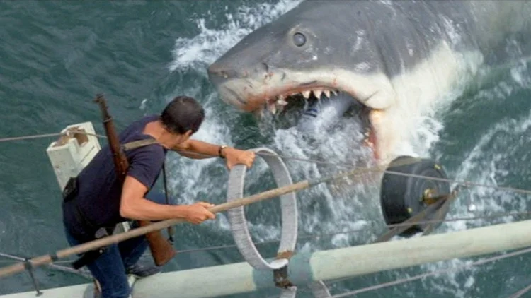 jaws.jpg