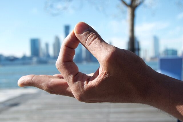 Kirtan Kriya Mudra JOY.jpeg