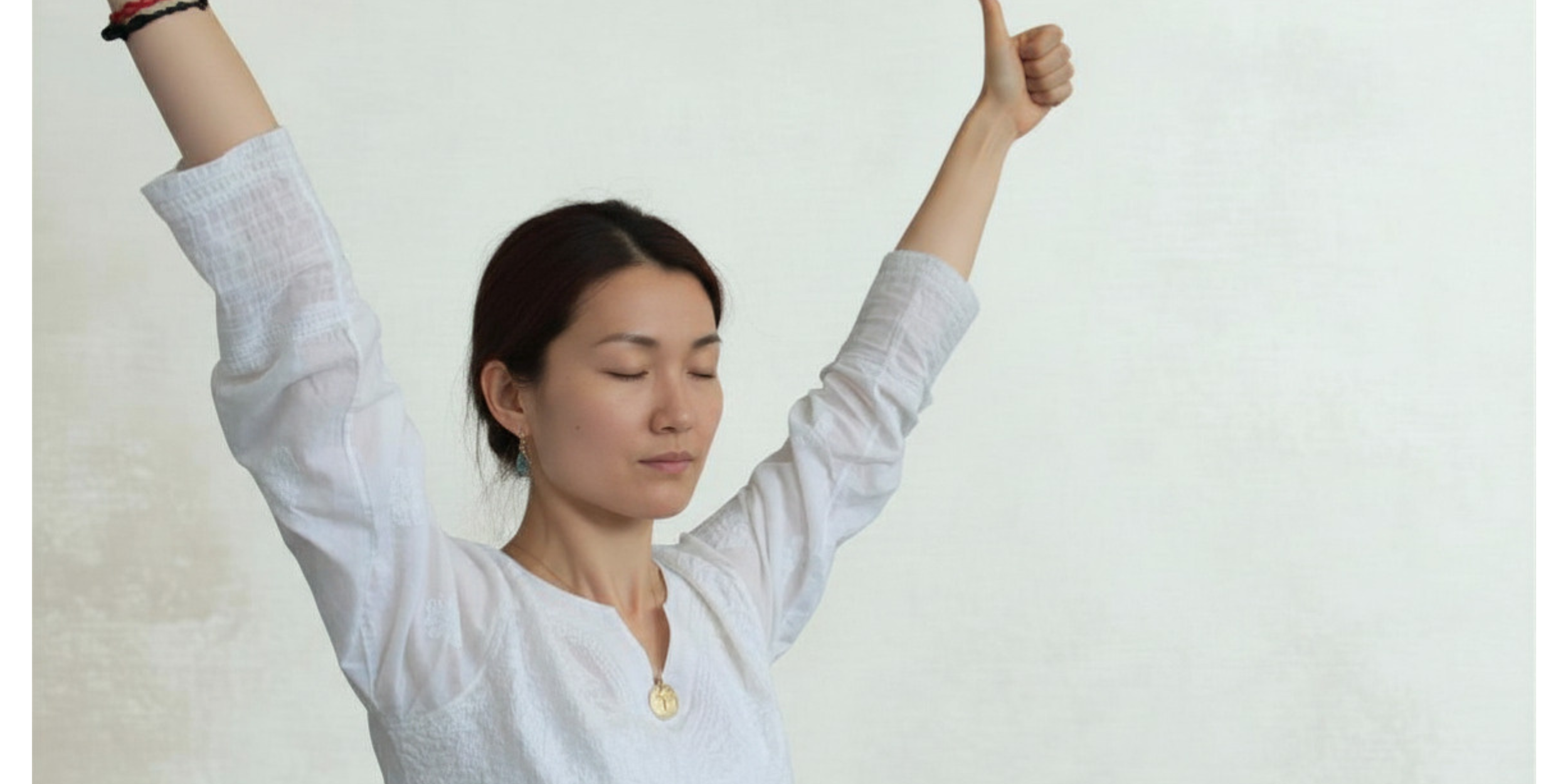 ego eradicator new web.png