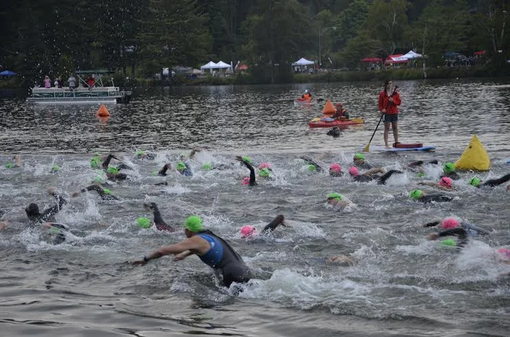 swim.jpg