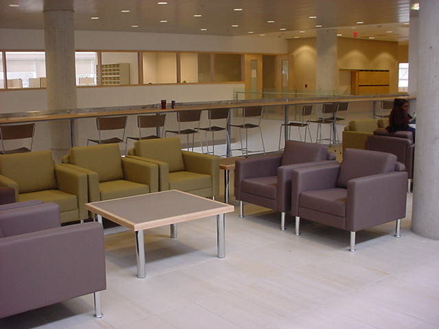 York University