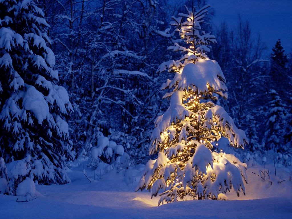 snowy christmas tree