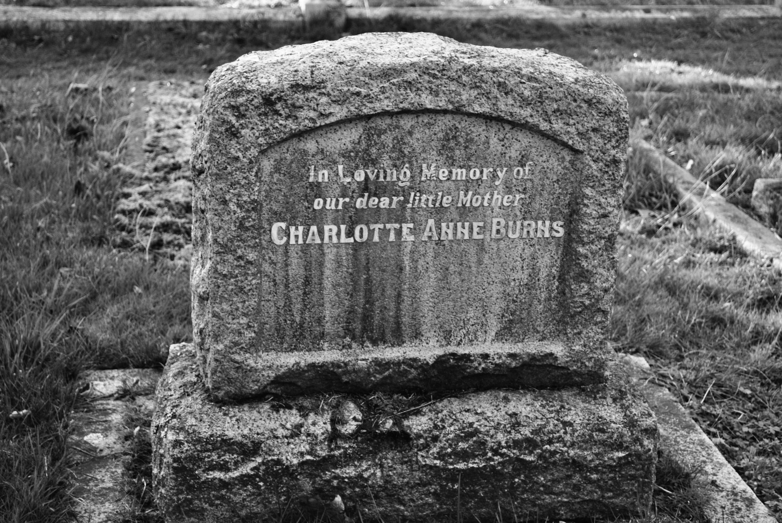 bw43.jpg