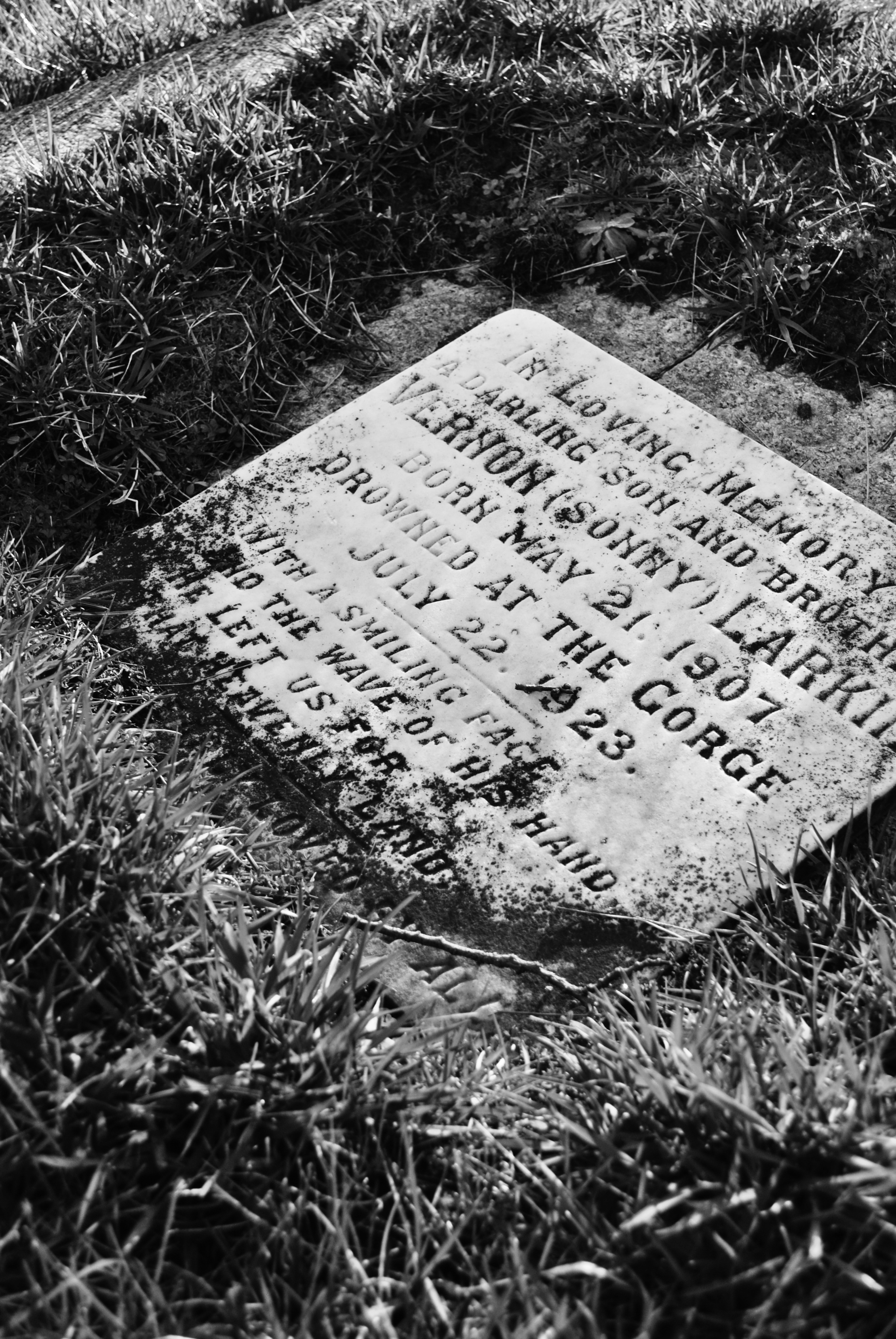 bw4.jpg