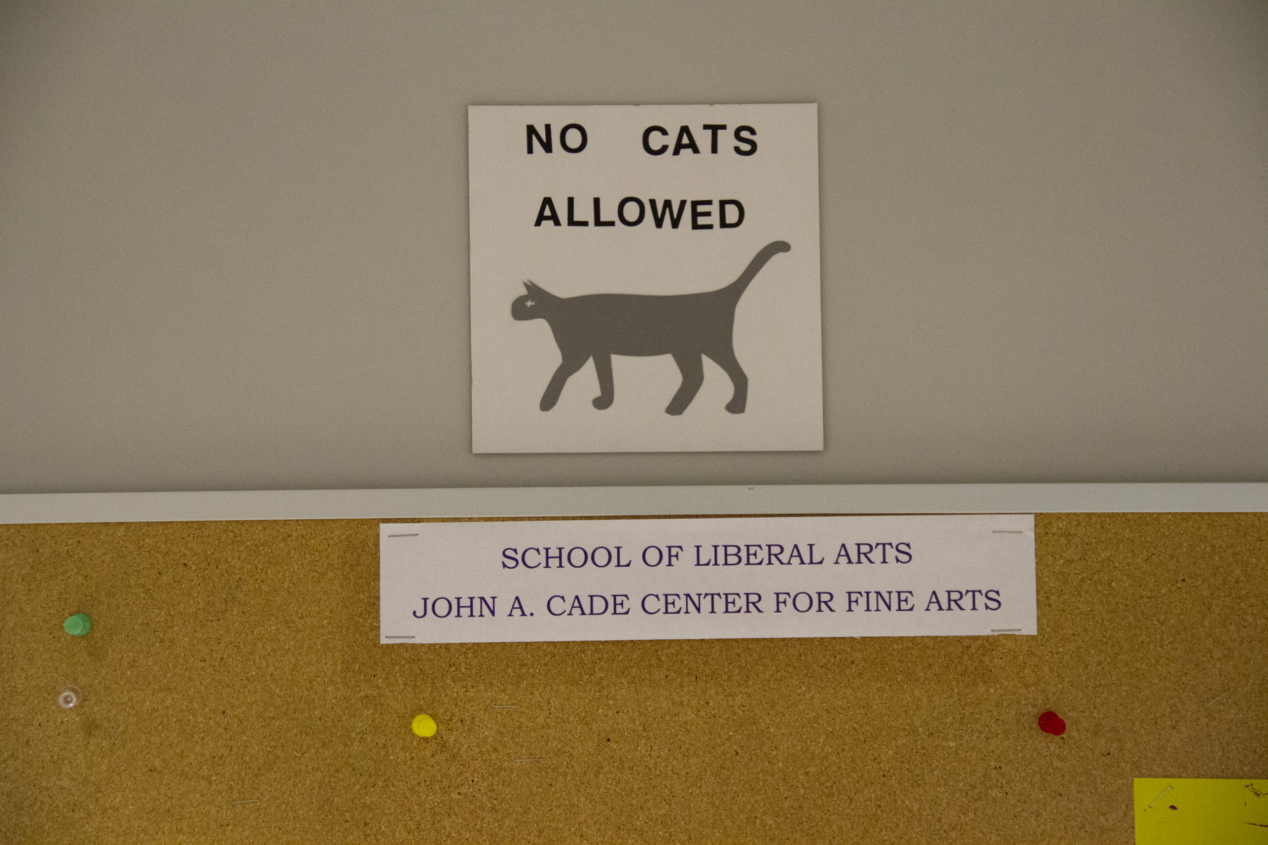 No Cats Allowed.jpg