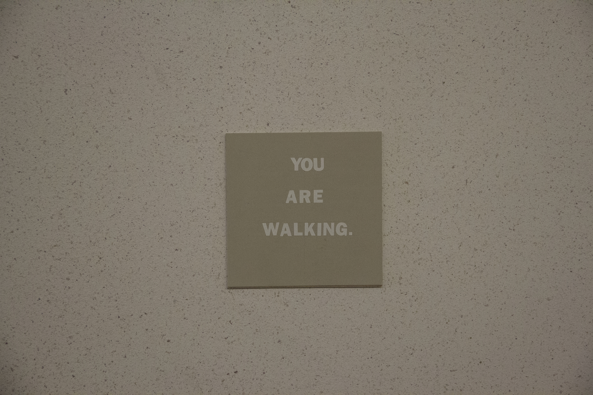 You Are Walking.jpg