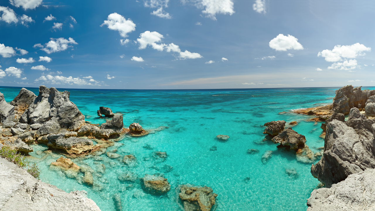 Bermuda — Black Girls Pole