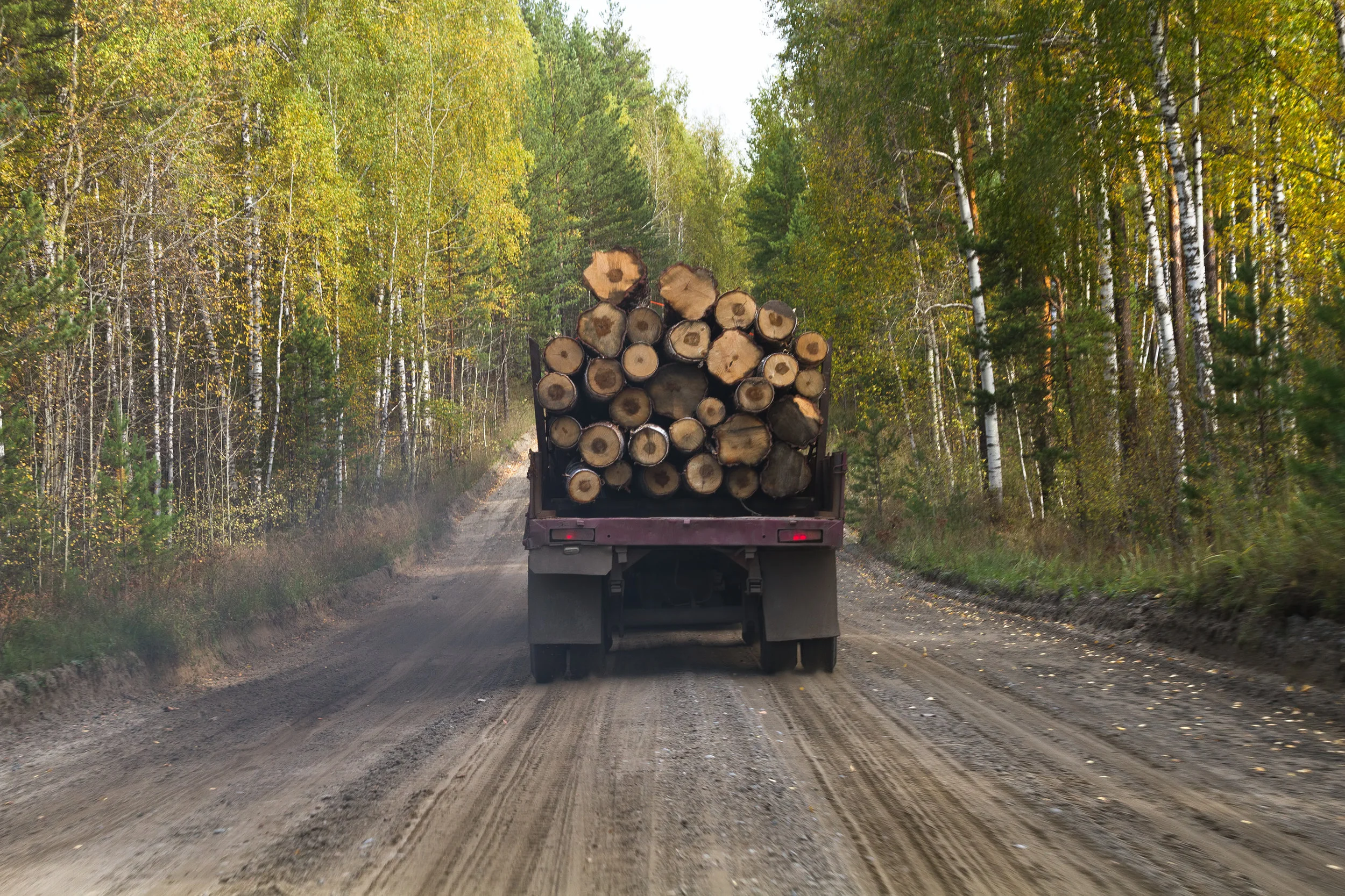 Va. Holds Easement by Necessity May be Modified as Reasonably Necessary to Widen Access Road to Allow Tractor Trailers