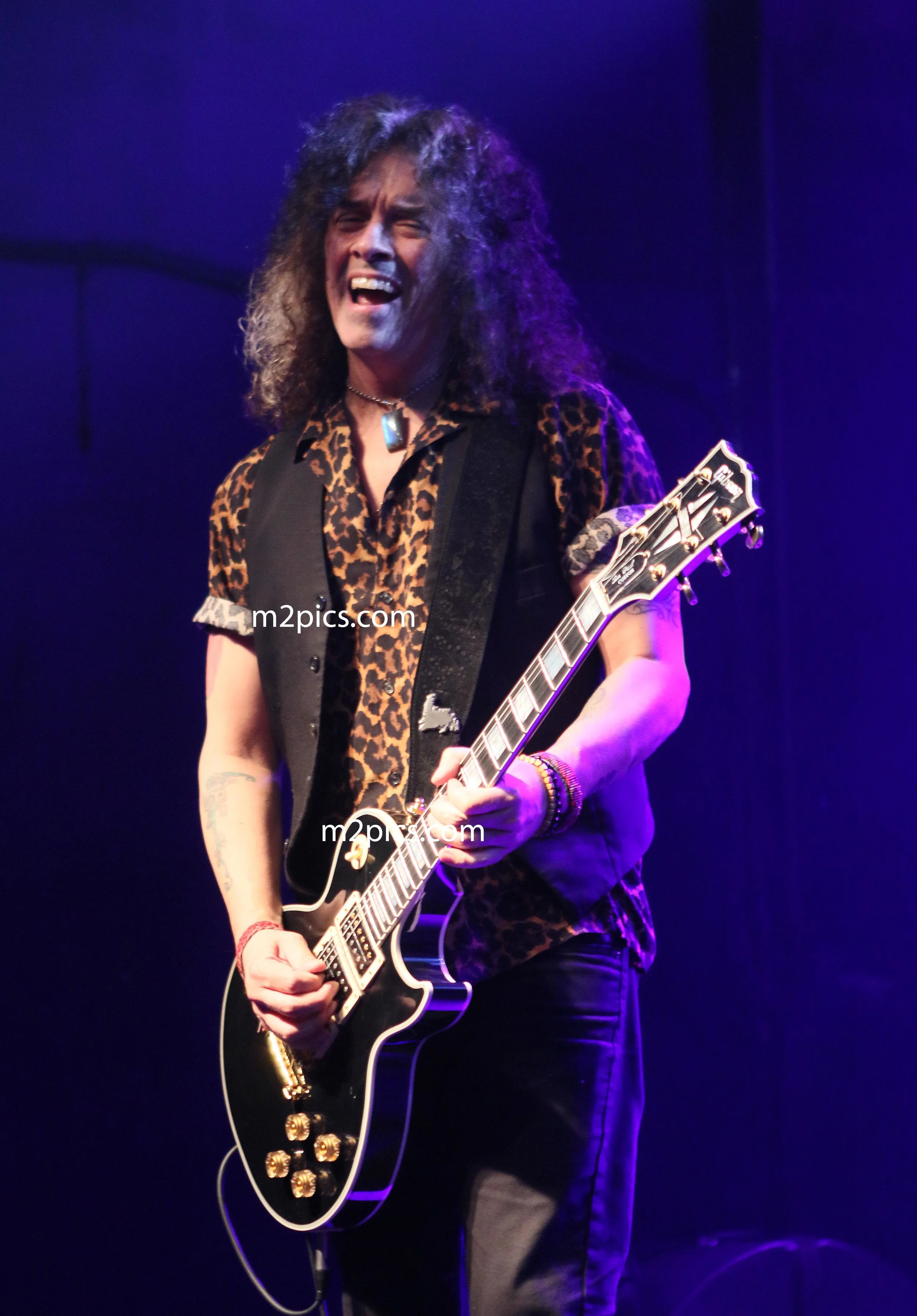 carpetfrogs 1-9640 copy 2.jpg