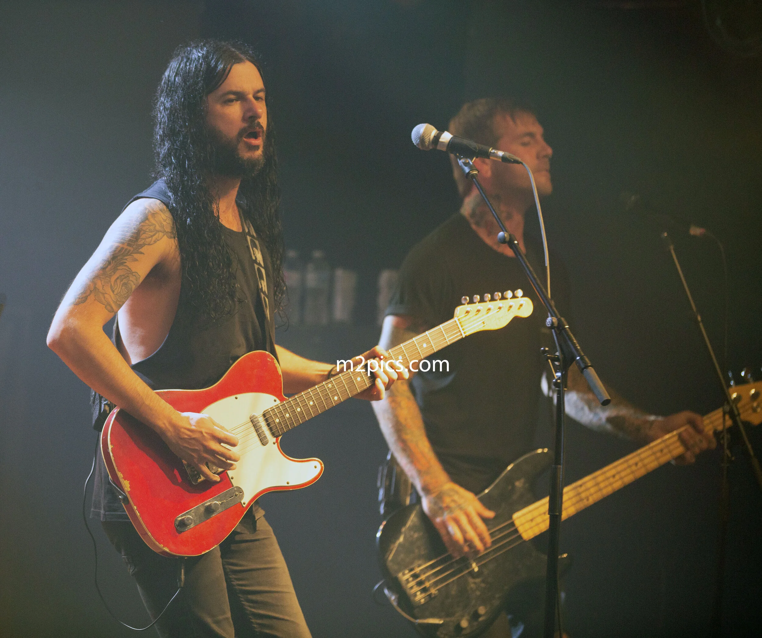The Lazys-1-19 copy.jpg