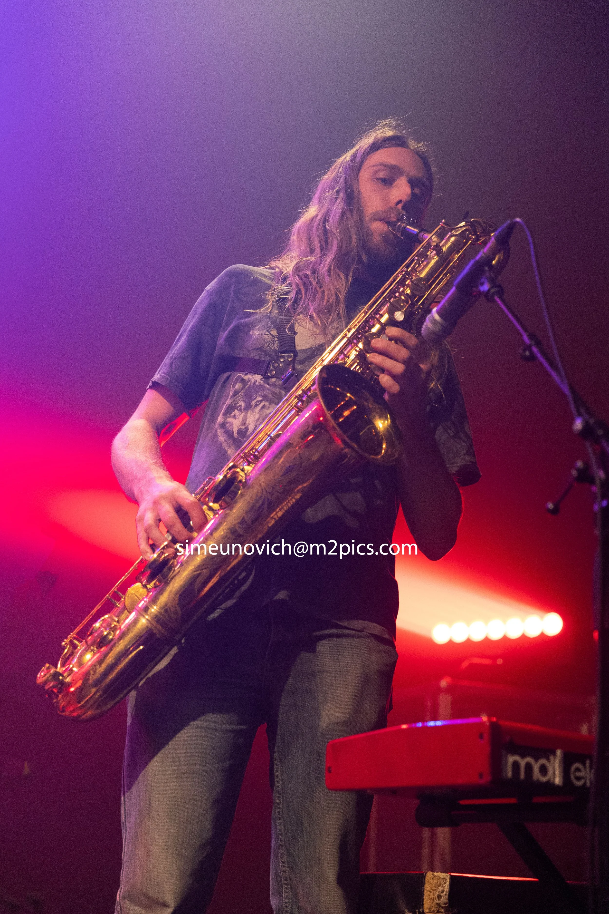 hairy holler-1-111 copy.jpg will.jpg