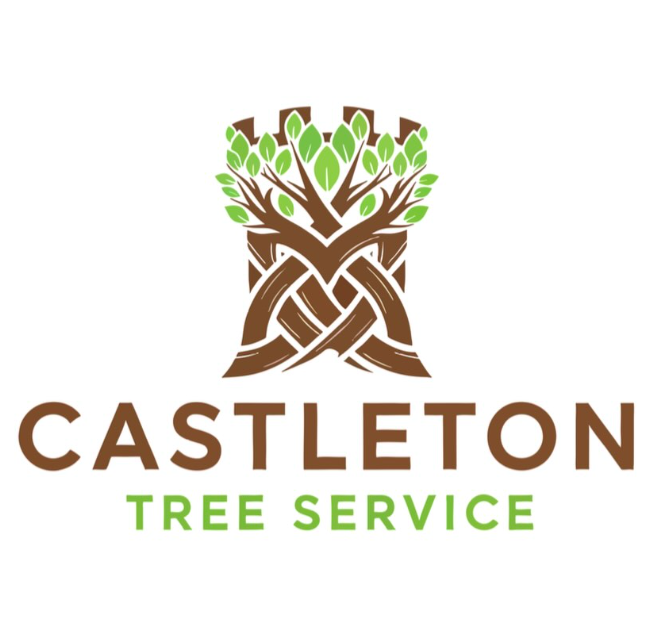 Screen Shot 2026-02-18 at 9.55.53 PM.png