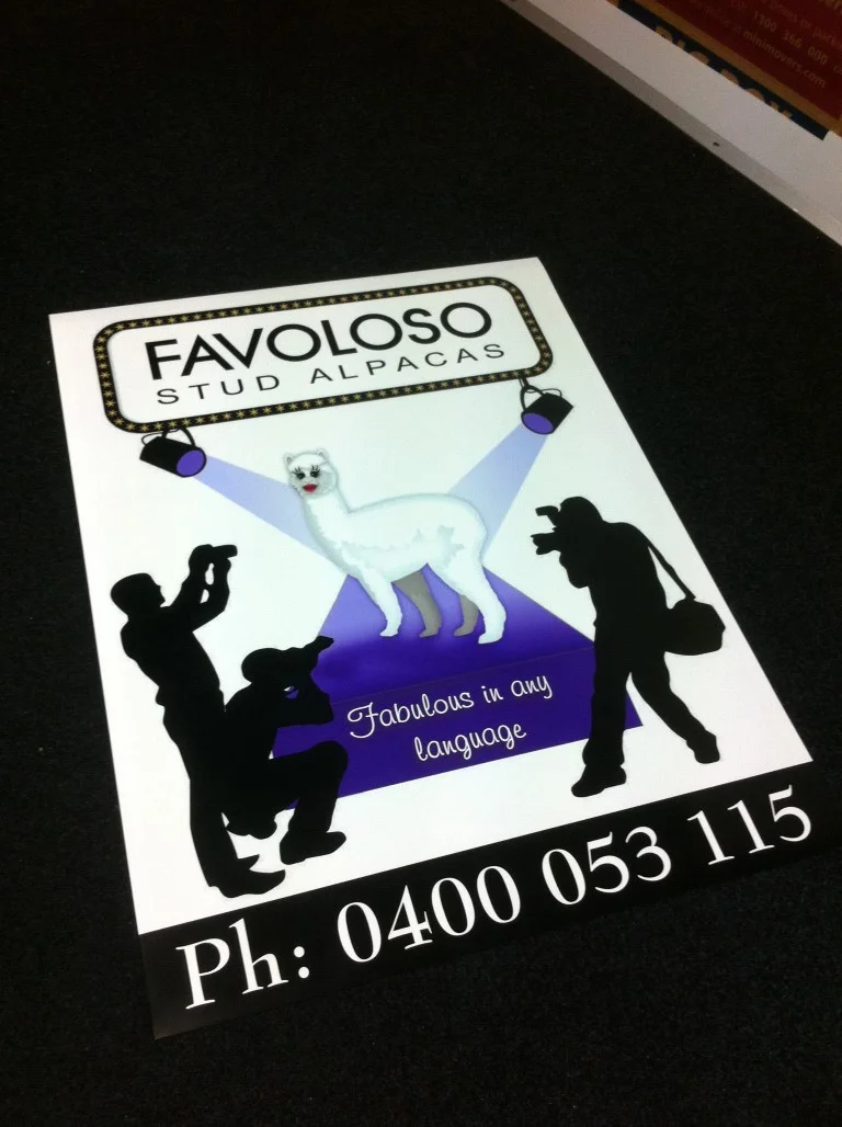 IMG_0864 (Medium).JPG