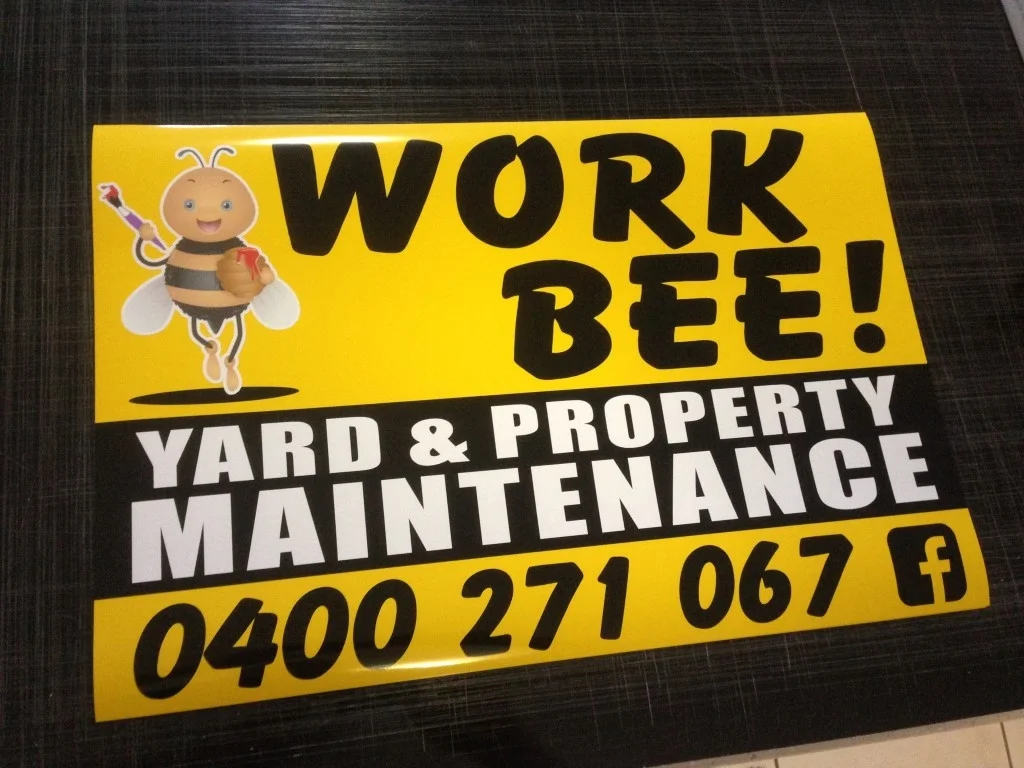 IMG_3096 (Medium).JPG