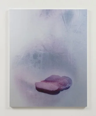marilyn minter.jpg