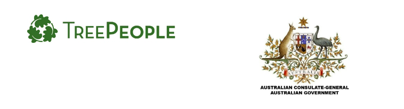 Screen Shot 2018-09-06 at 00.41.34.png
