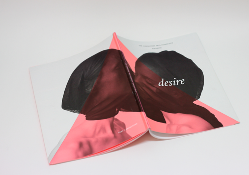 The DESIRE Issue
