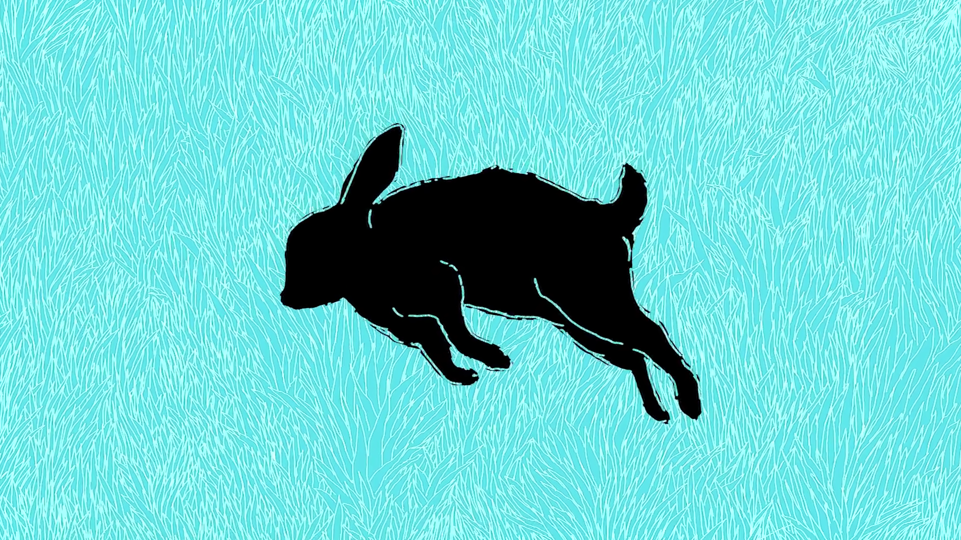 Slower Animals