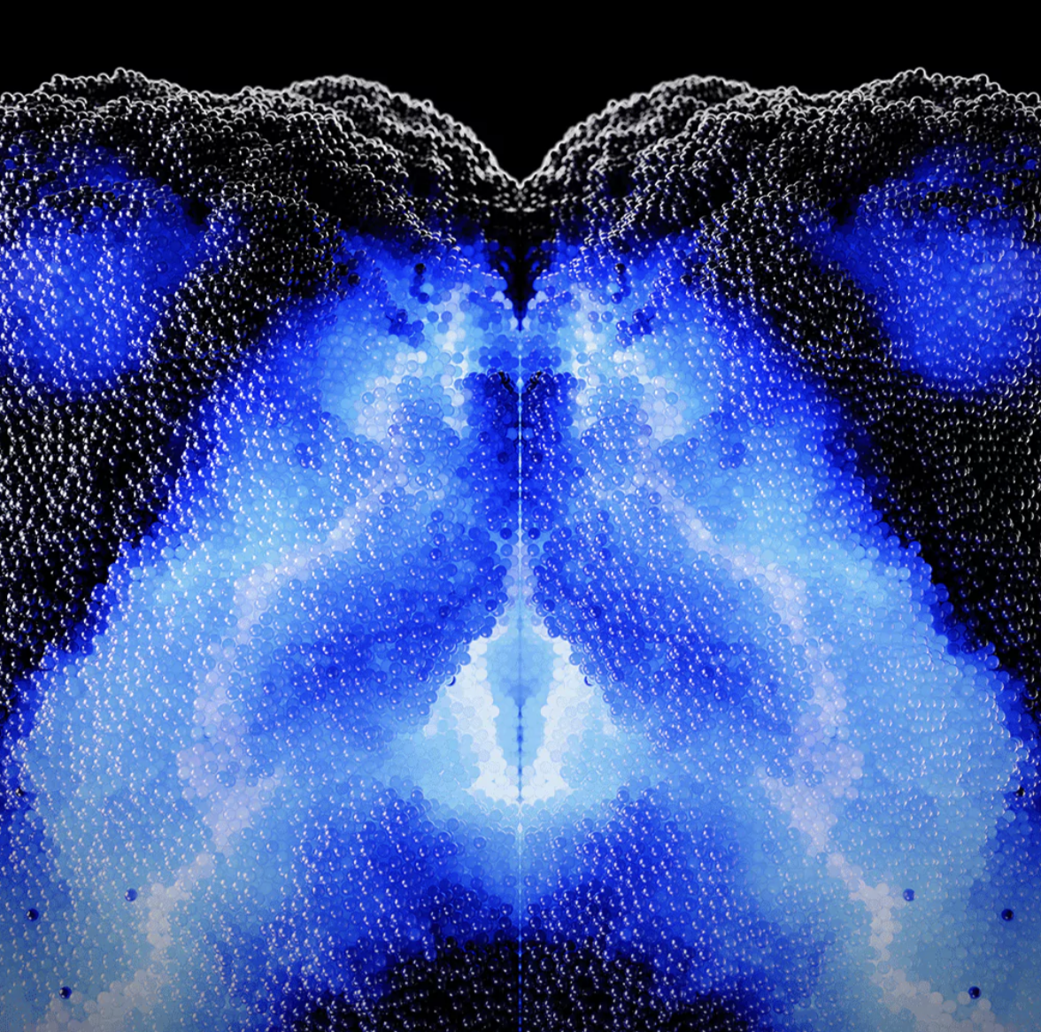 ARTIFICIAL ORGANISMS
