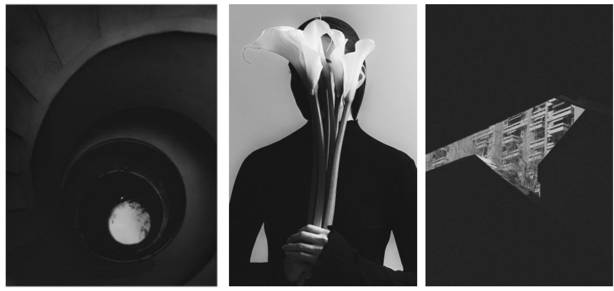 Three Photographers, Three Visions