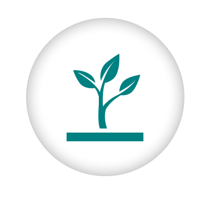 Icon6.png
