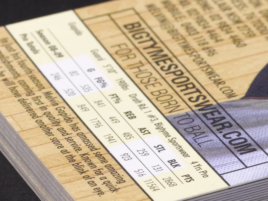 Mario Licha Barrister