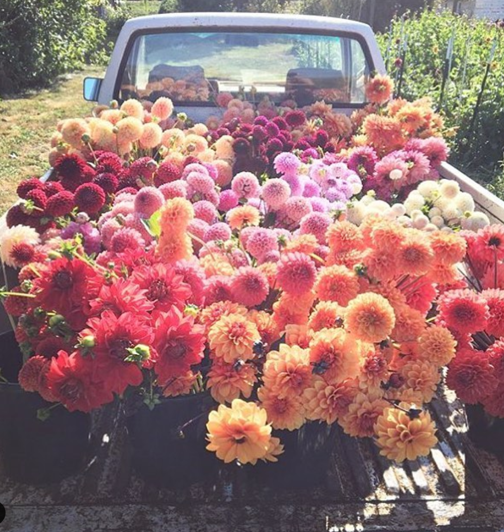 Stop and Smell the Flowers