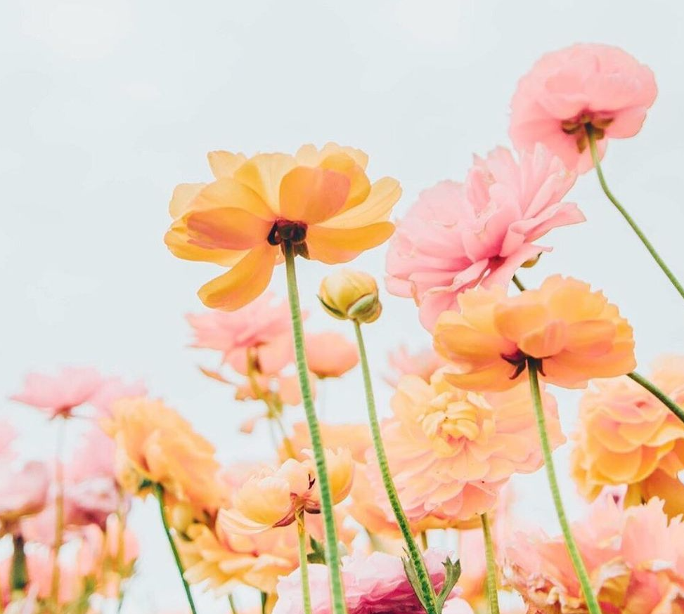 You Don't Have To Do It All