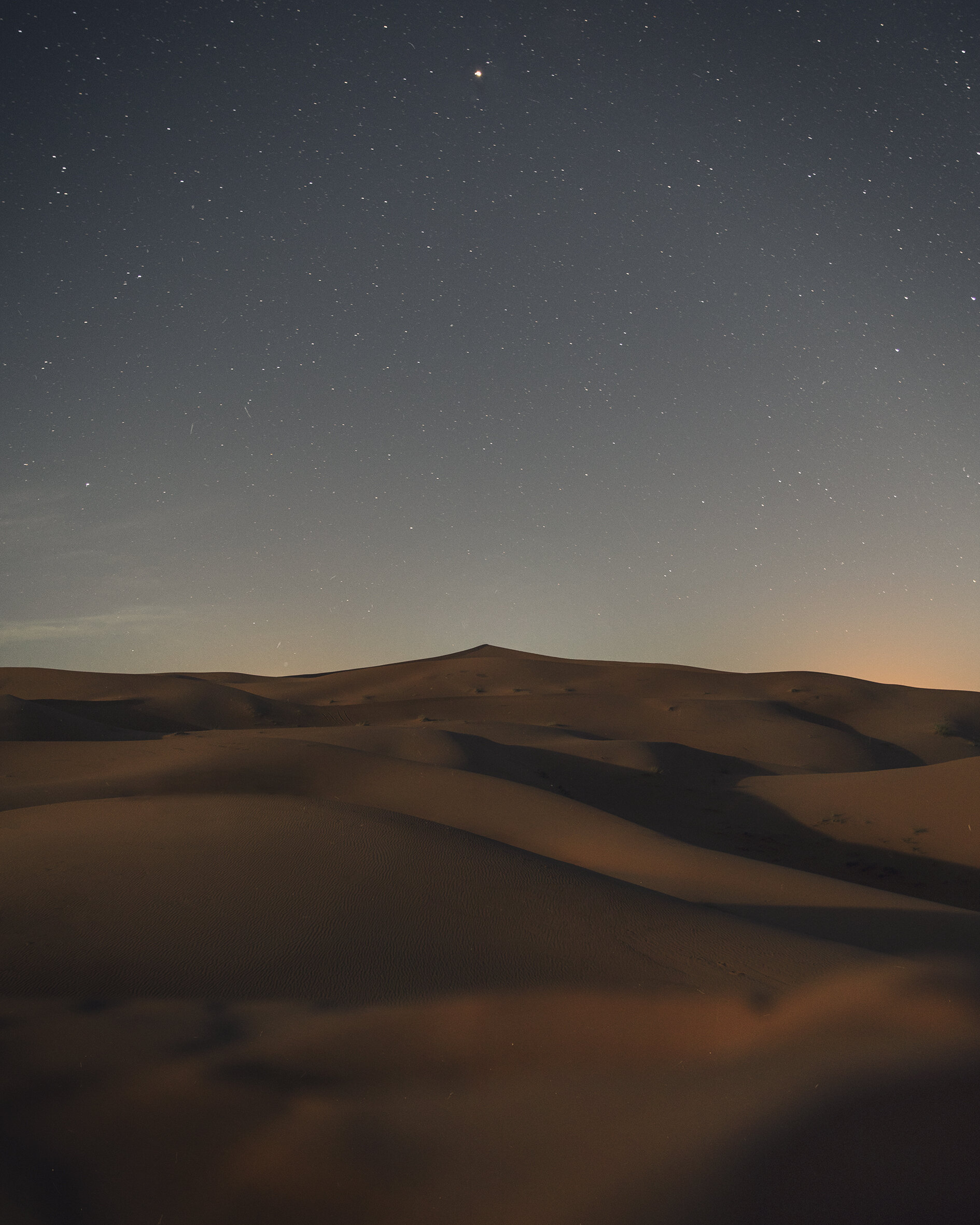 MIDNIGHT_SAHARA_1.jpg