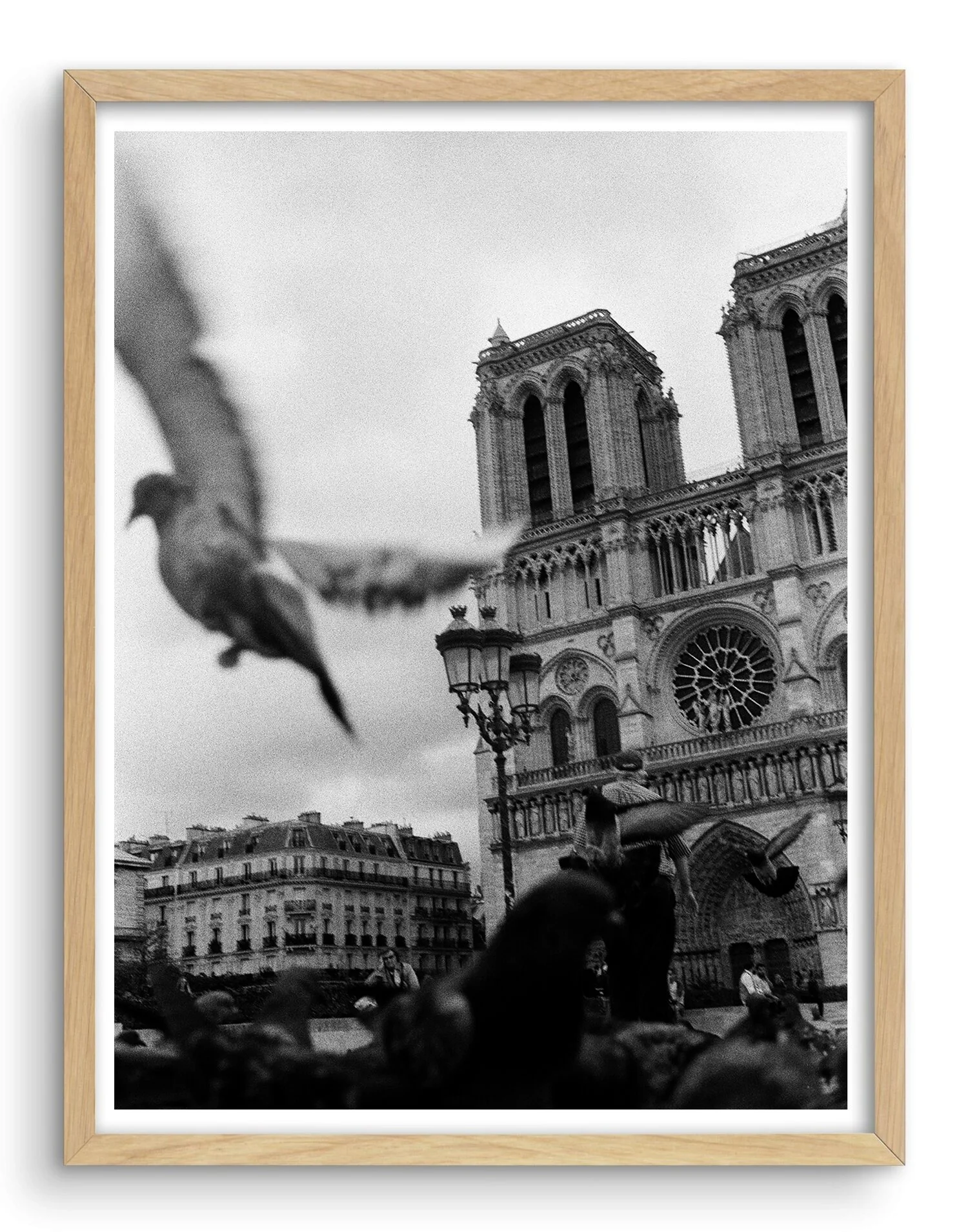 notredam_framed.jpg