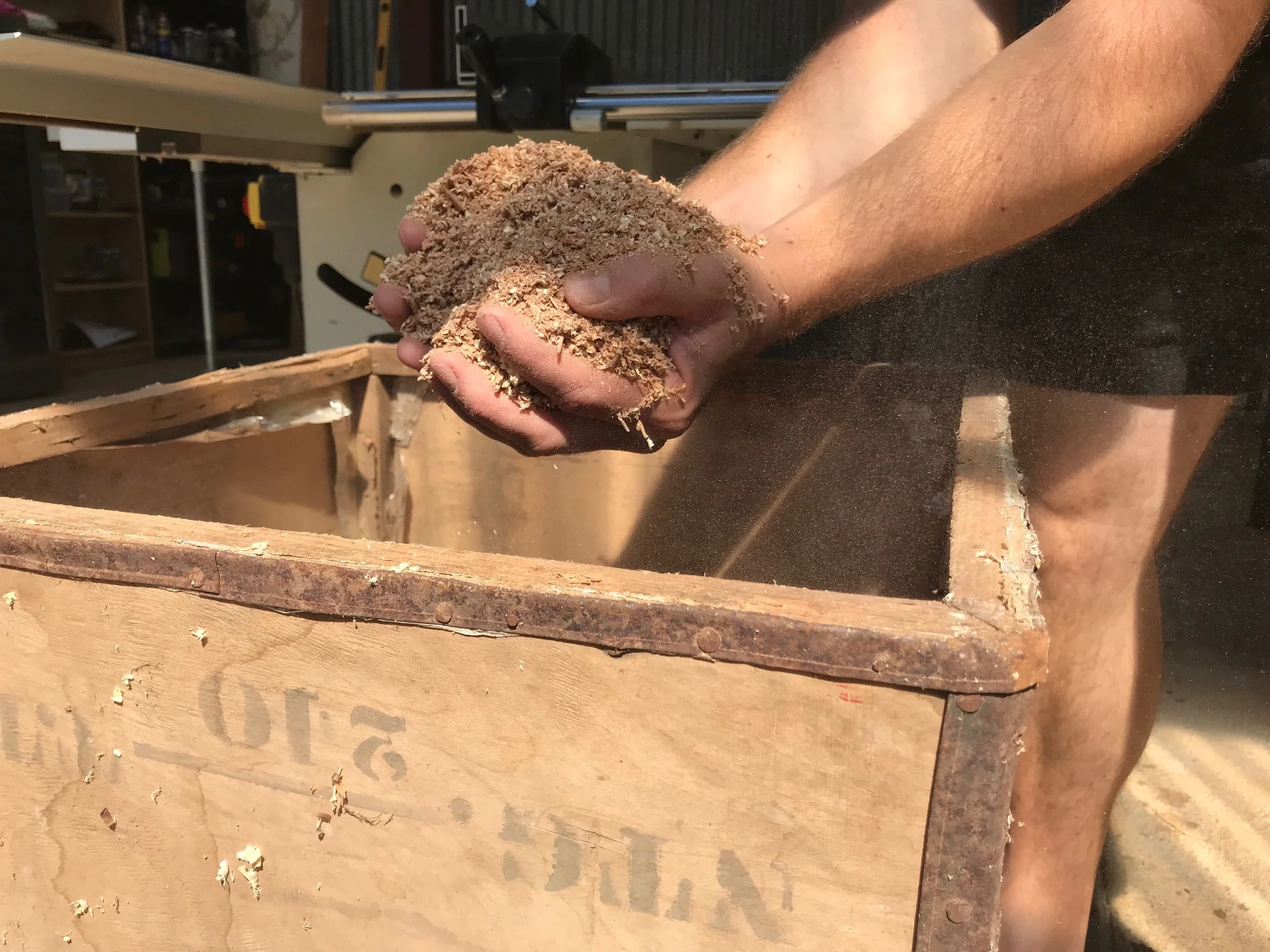 Sawdust.jpg
