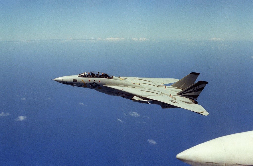 an-air-to-air-left-side-view-of-a-fighter-squadron-111-vf-111-f-14a-tomcat-77ae65-1024.jpg