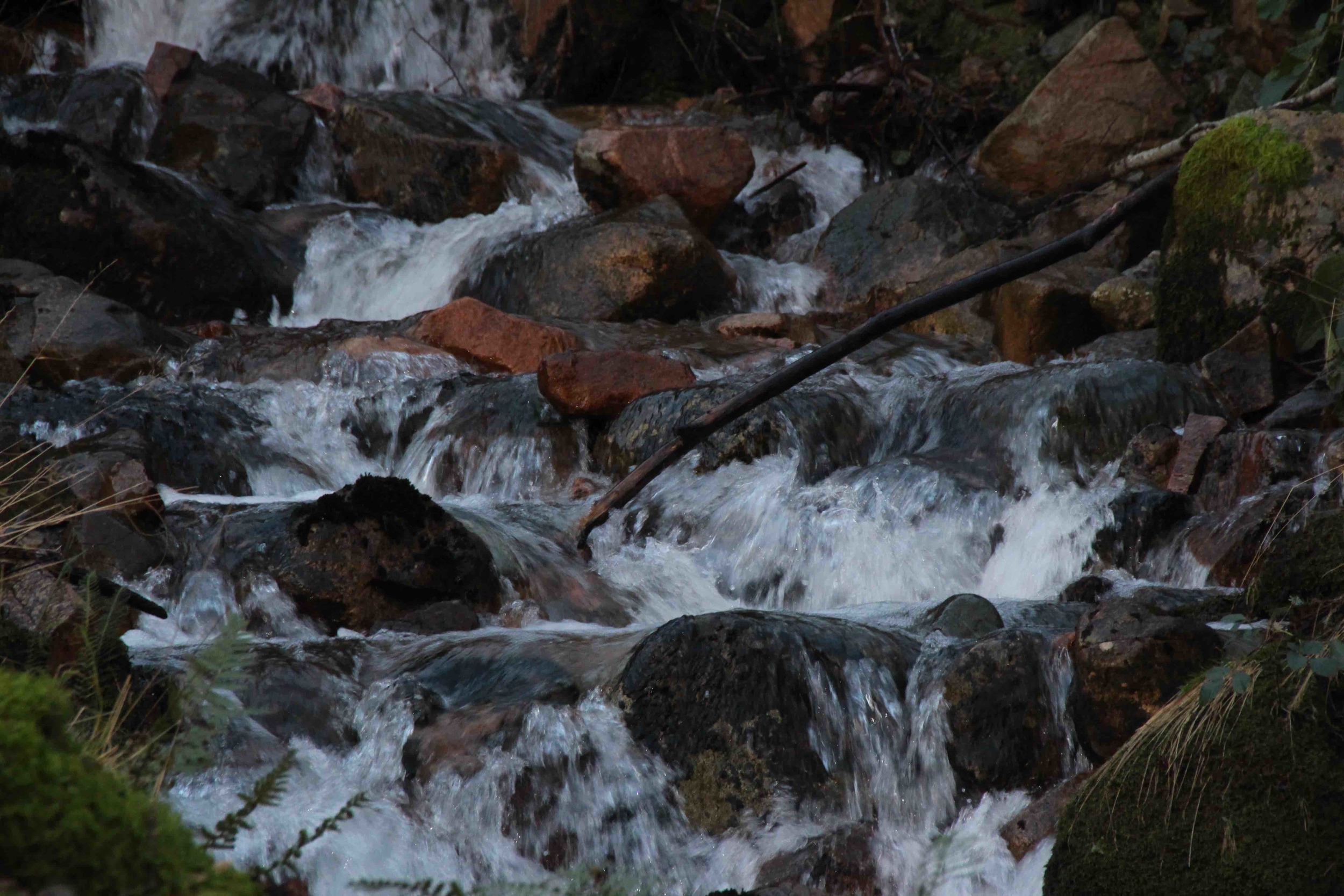 At Ennerdale – a tributary of the RIver Liza, crystal clear while rivers elsewhere are in muddy flood