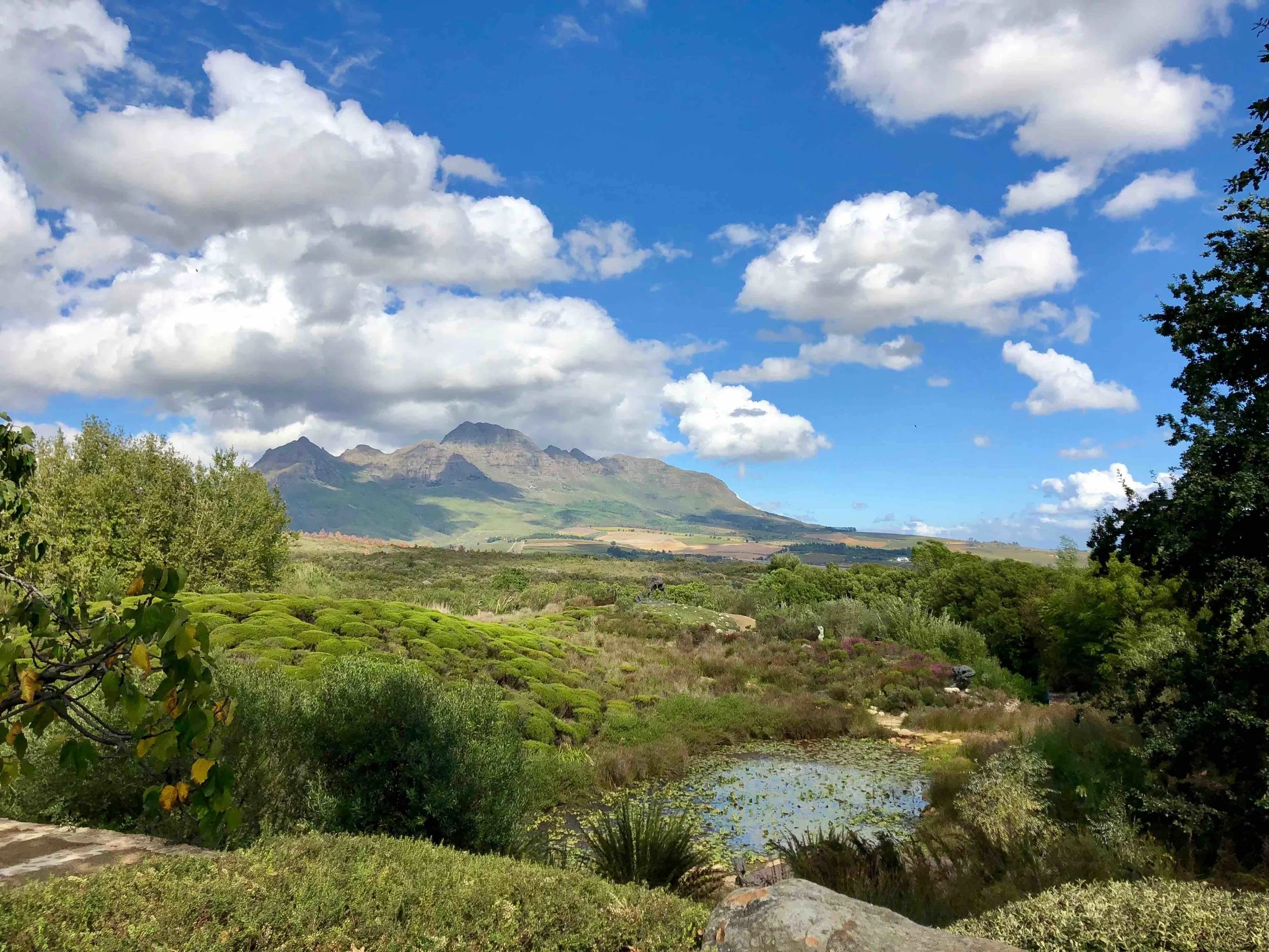 Art Garden view, Stellenbosch