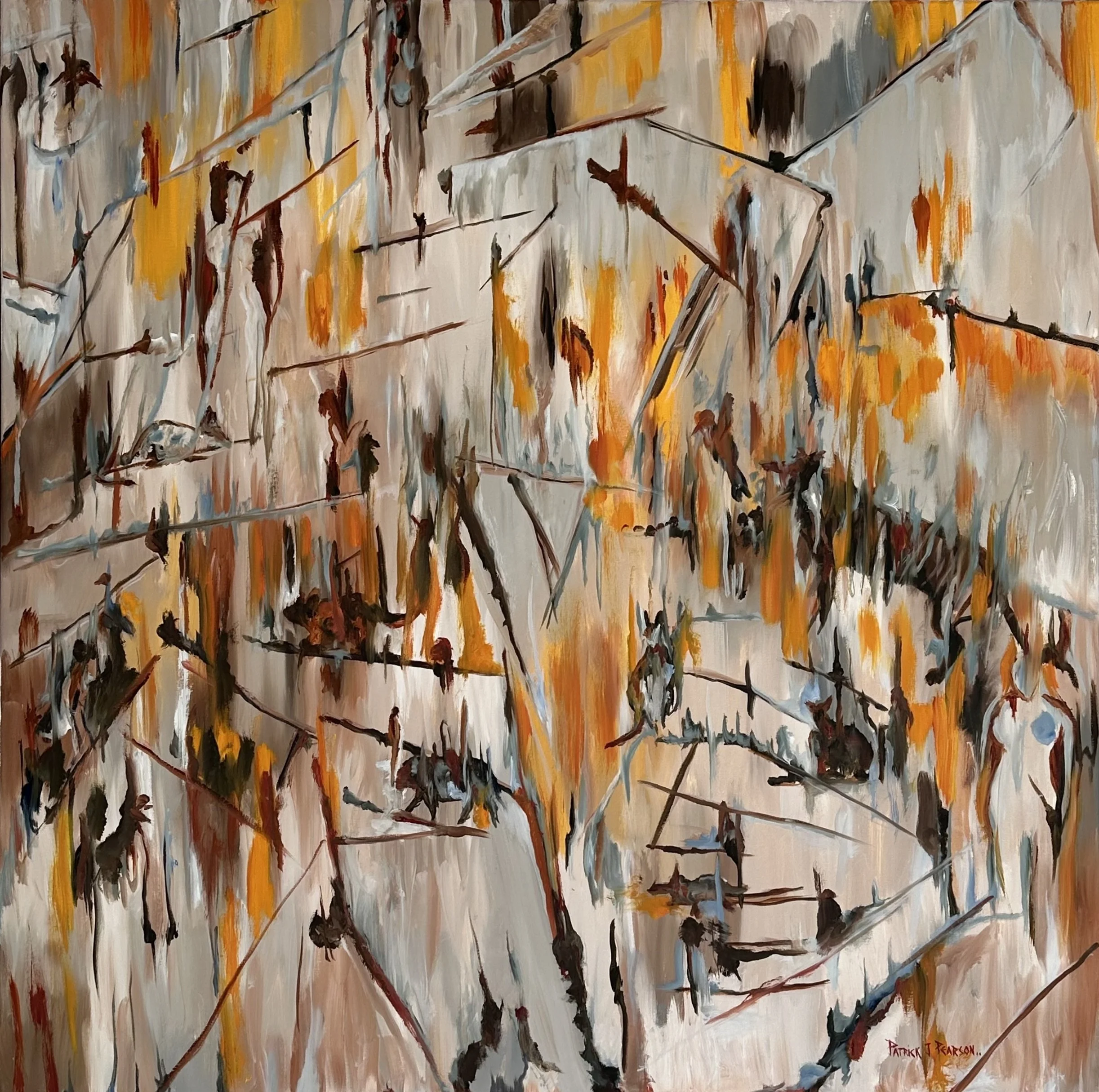 'Timefolds – Freycinet Cliffside with Lichen' 2025 122 x 122cm.jpeg