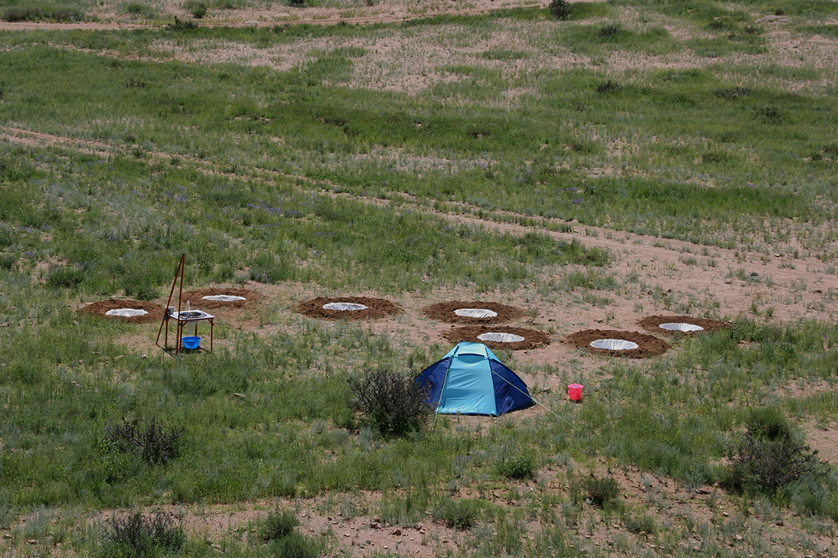 Water Conversations - Gobi desert, Mongolia 1